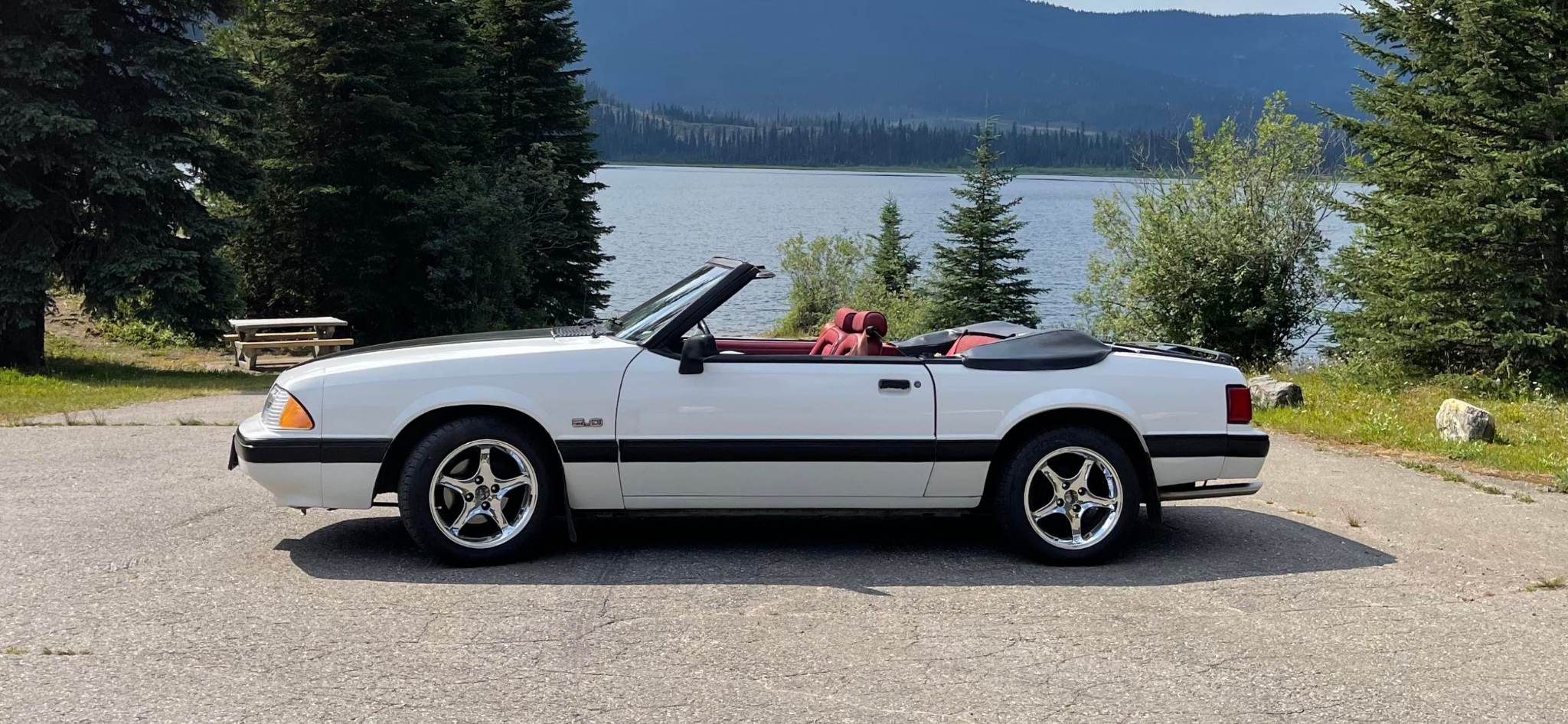 1991 Mustang, owned by Linda and Rick Stevenson