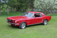 1966 Mustang Coupe -Owned by Delle & Phil Megyesi